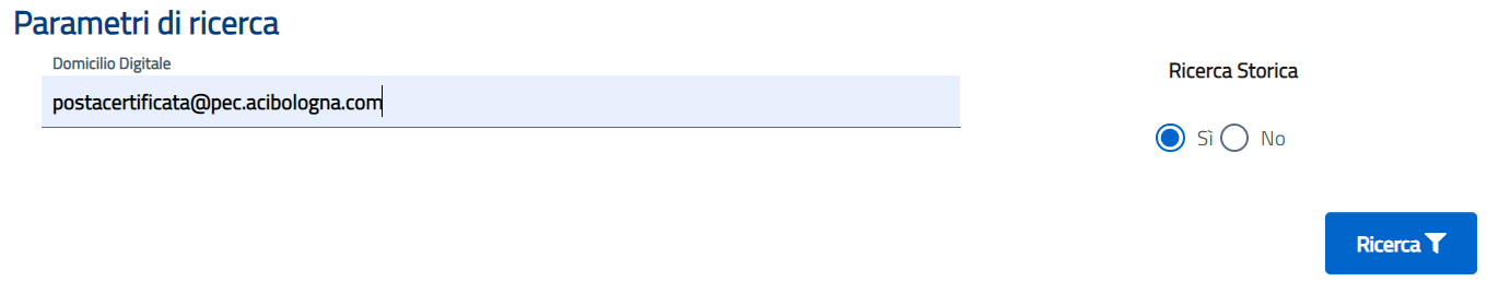 Parametri di ricerca del domicilio digitale